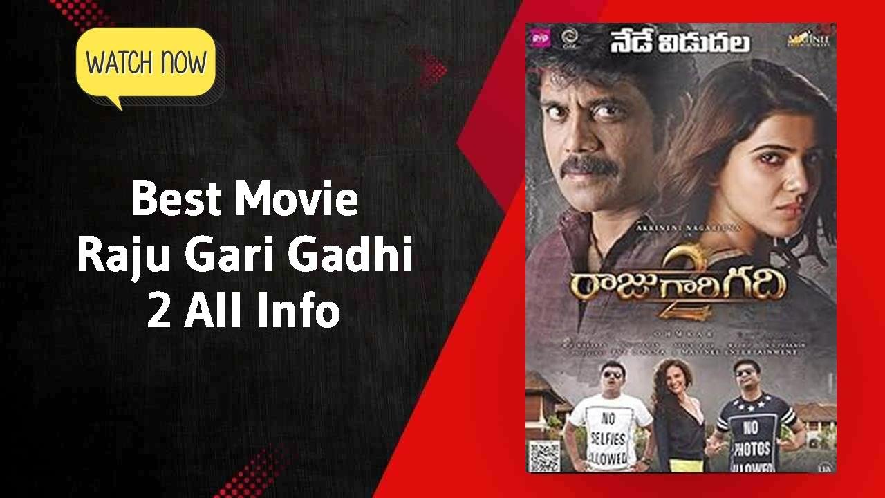 Raju Gari Gadhi 2